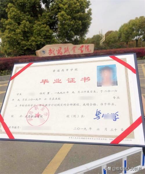 毕业证丢了怎么办中专,毕业证书电子版可以在哪查啊