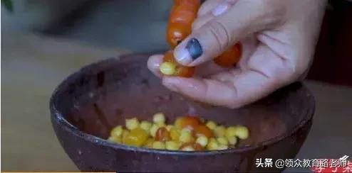 李子柒早期作品村姑女汉子形象,最美网红李子柒