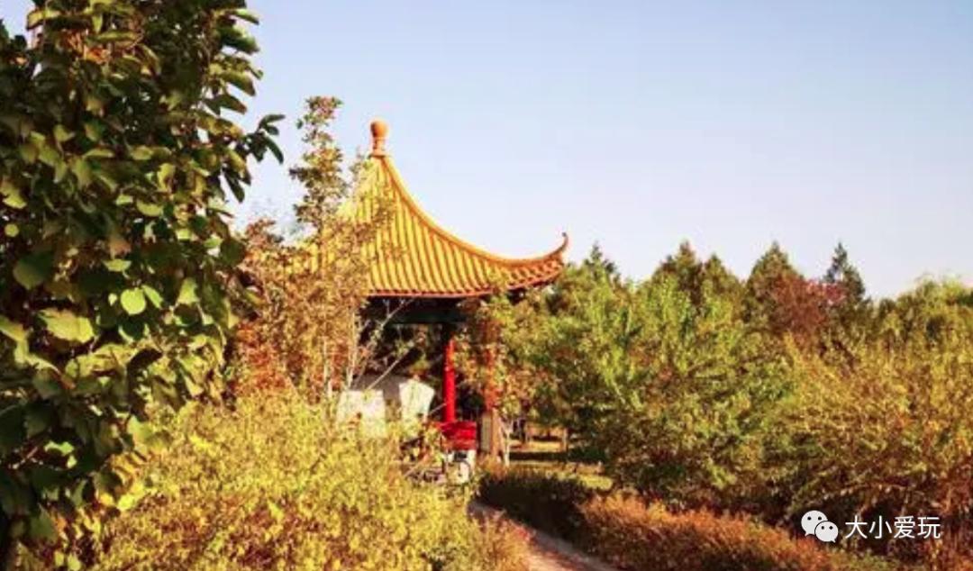 北京红螺寺银杏最佳观赏时间,北京赏银杏景区有哪些