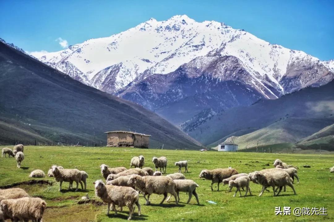 甘肃被忽略的景点,甘肃的自然风光