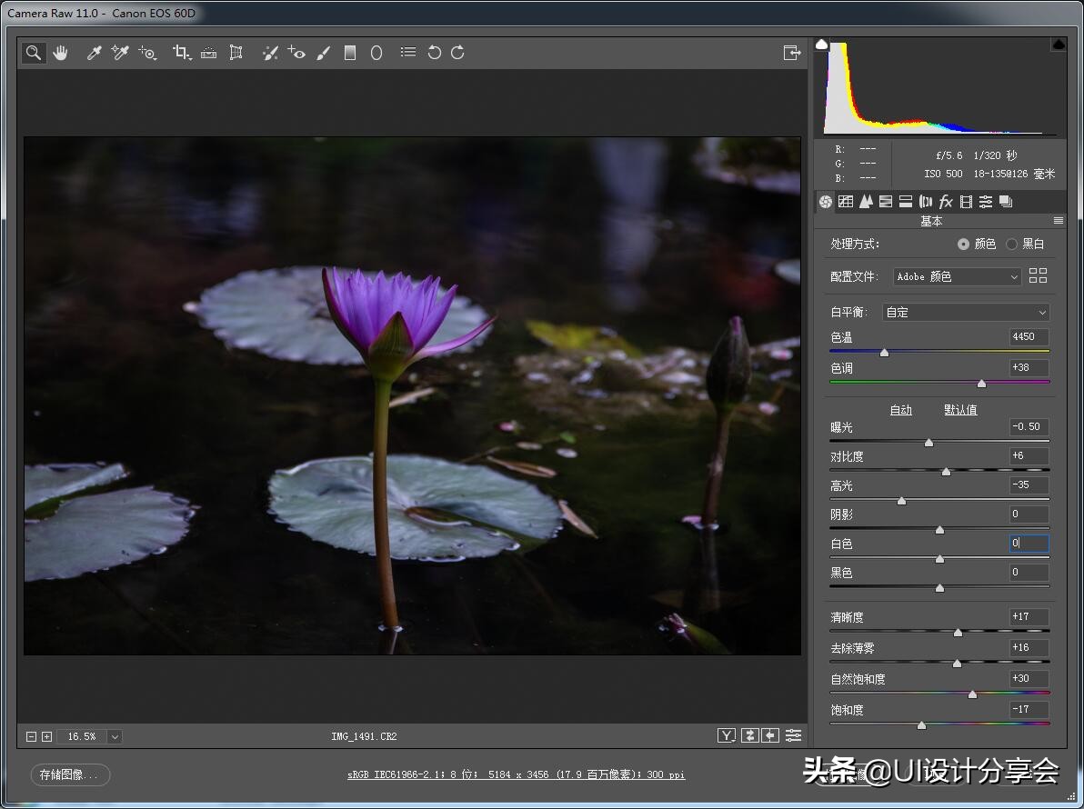 ps画意荷花如何调出洇染效果,ps荷花多重曝光的后期调色教程