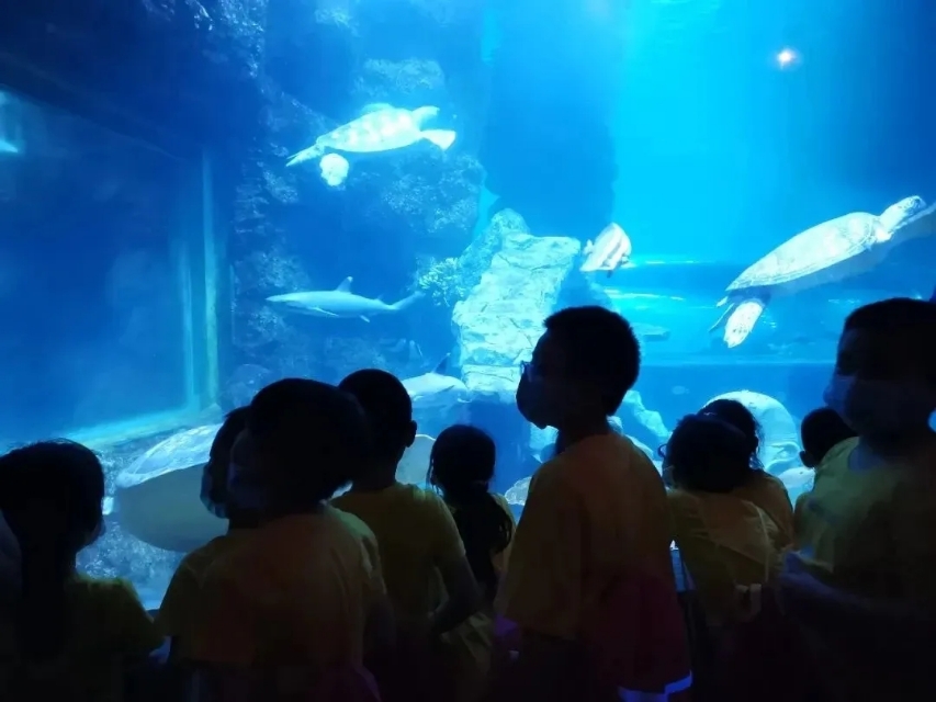 西安带孩子们最值得去的海洋公园,遛娃海洋馆打卡视频