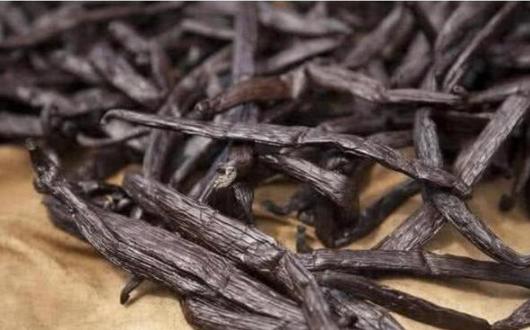 世界上最极品的食物是什么样的,世界上7大顶级食物