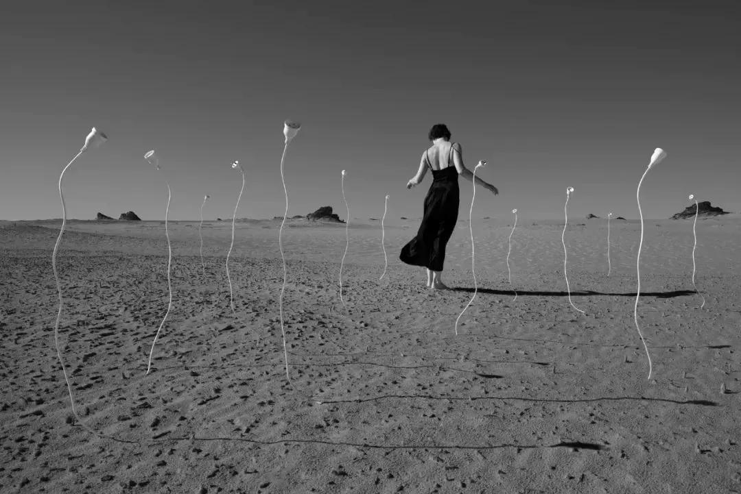 好物推荐香薰精油你了解多少?