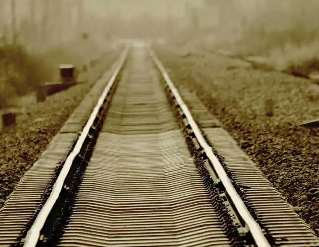 东营微文化张乐民,东营微文化