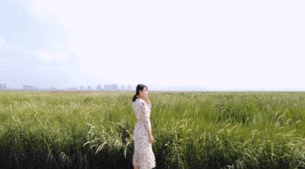 青岛国家海洋公园免费,海洋公园青岛最新