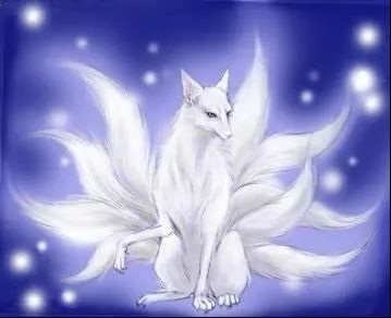 舌尖上的山海经全部视频,舌尖上的山海经洞庭鱼