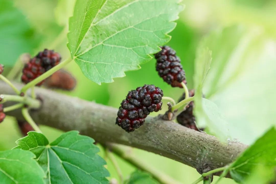 昆明周边旅游攻略大全免费,昆明周边旅游城市推荐