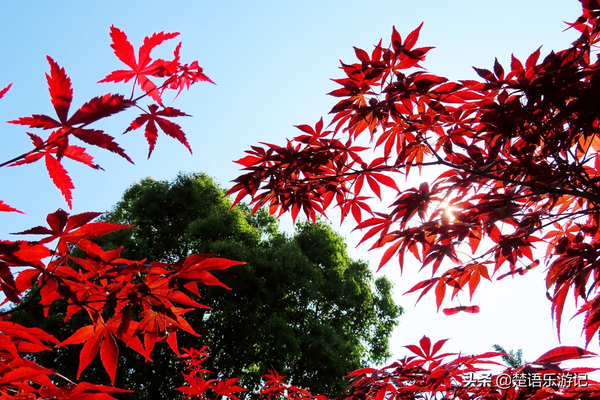 宁波奉化最好的公园,宁波奉化旅游景点推荐森林公园