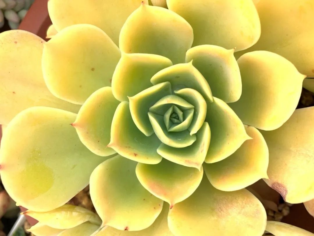 禁足的日子收获颇多,禁足