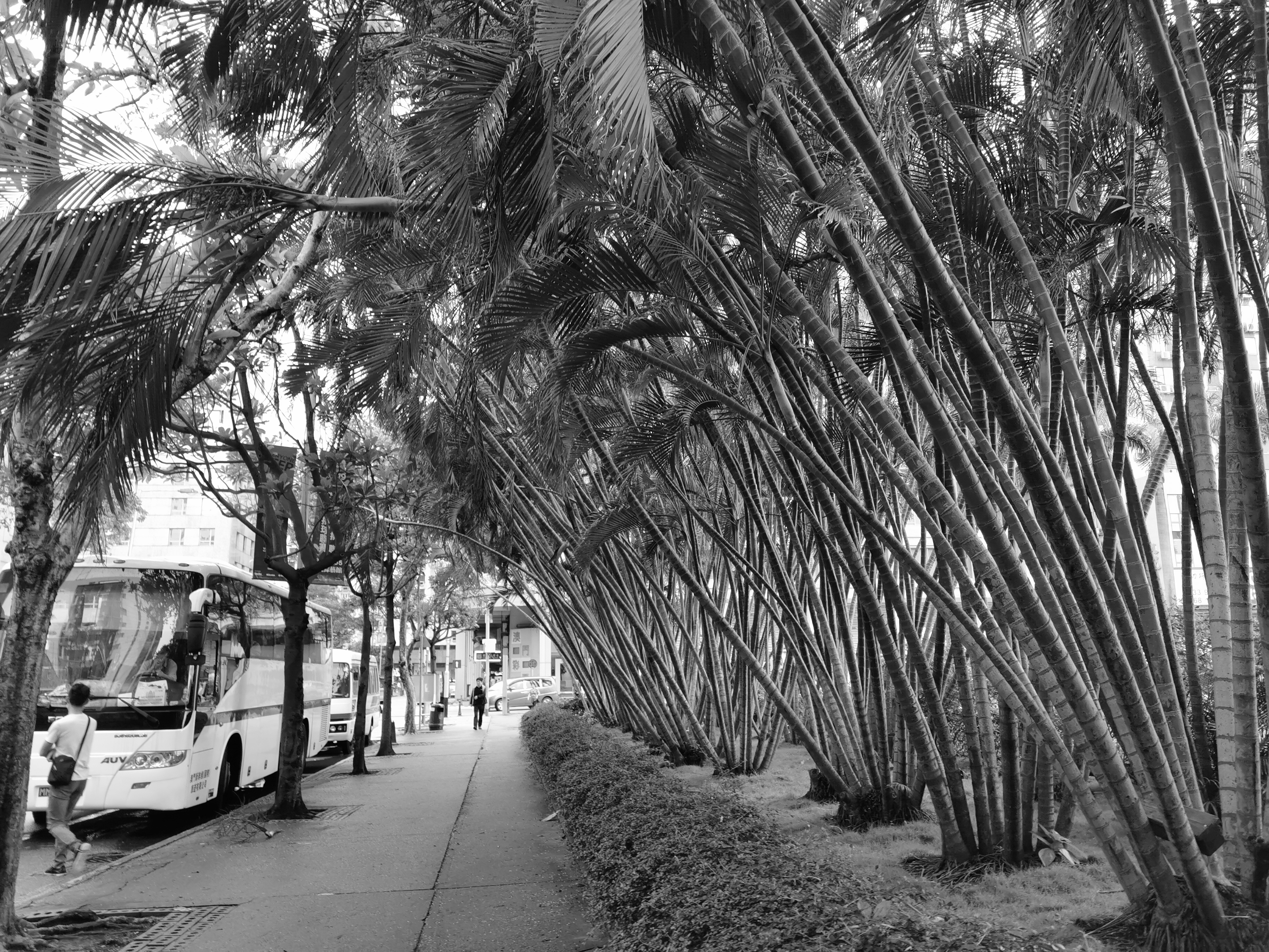 出门旅游不拍照怎么办,华为p30pro海边拍照技巧