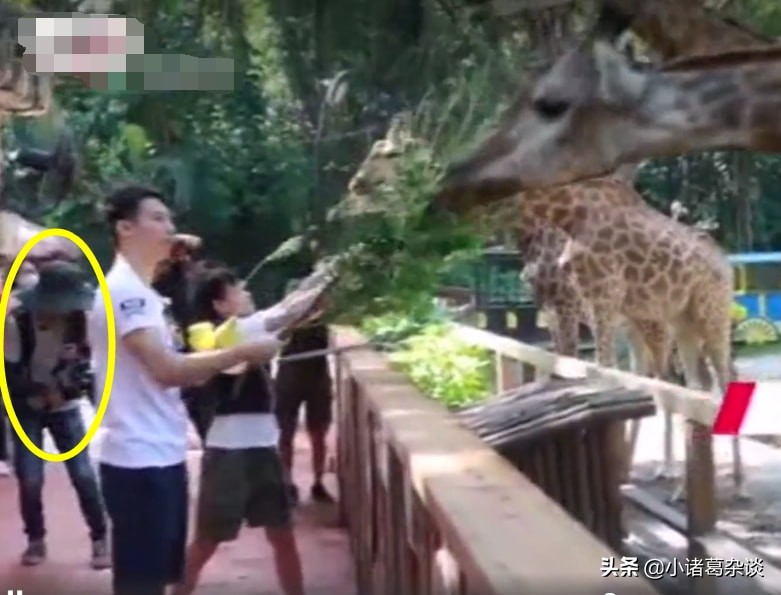 独此一家！全红婵全程被跟拍，广东台国庆节连播3天，真有牌面啊