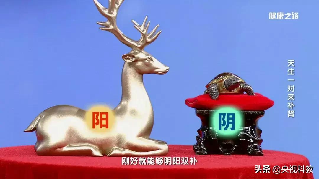 中医教你这三招，助你补足肾气、延缓衰老