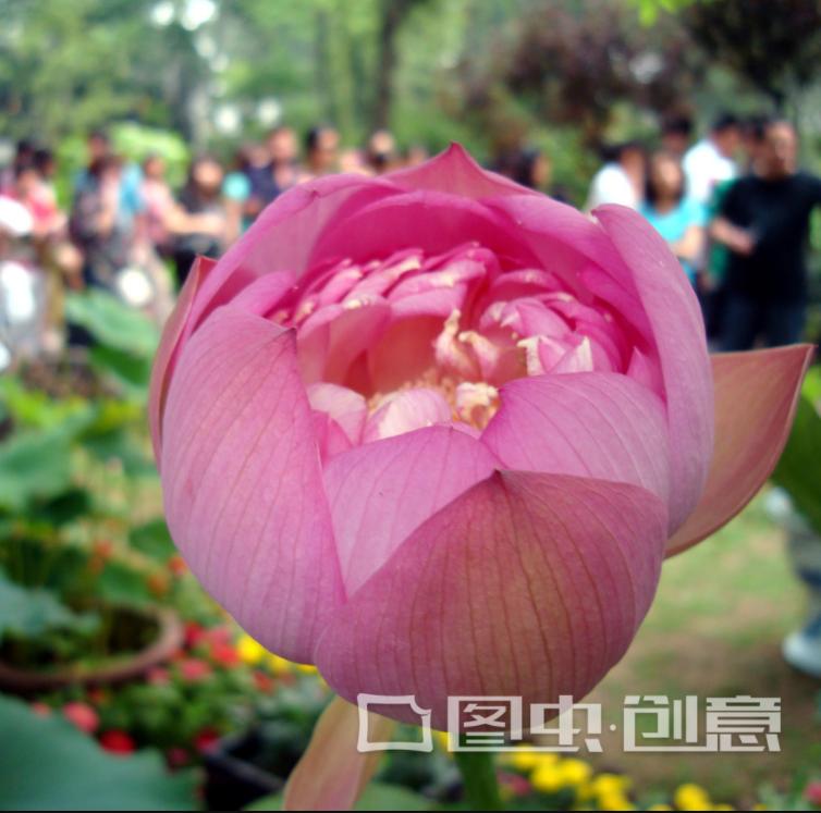 苏州人的口碑为什么那么好,真正的苏州人