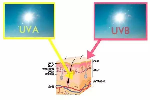 小红书安利翻车文章,小红书翻车全集