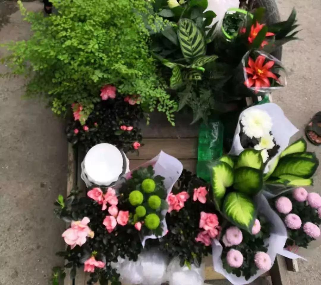 「真实故事」如何用一块钱拯救脱发少年?