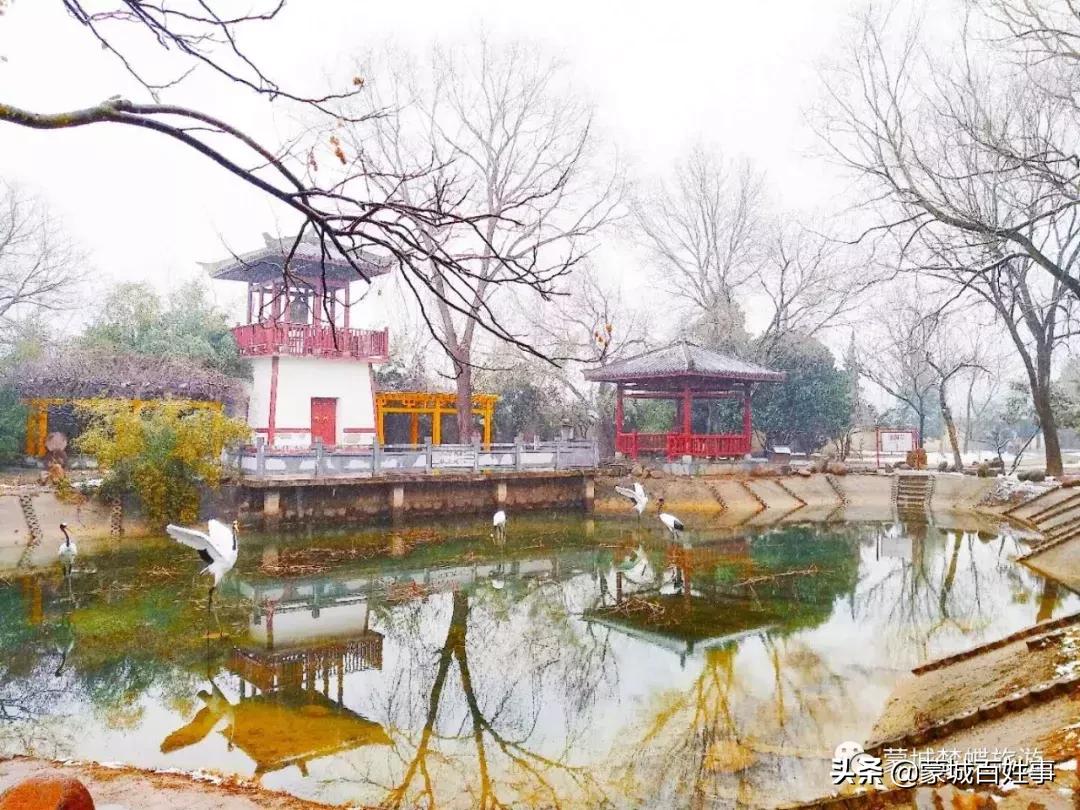 安徽亳州蒙城是几线城市,蒙城算北边还是南边