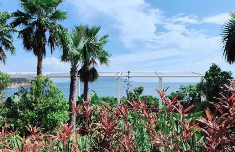 藏在广东的7个神秘小众海岛，美景如画！你听过5个算我输