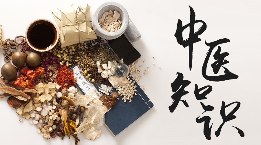 每天一味中药材薄荷,每日一药之薄荷