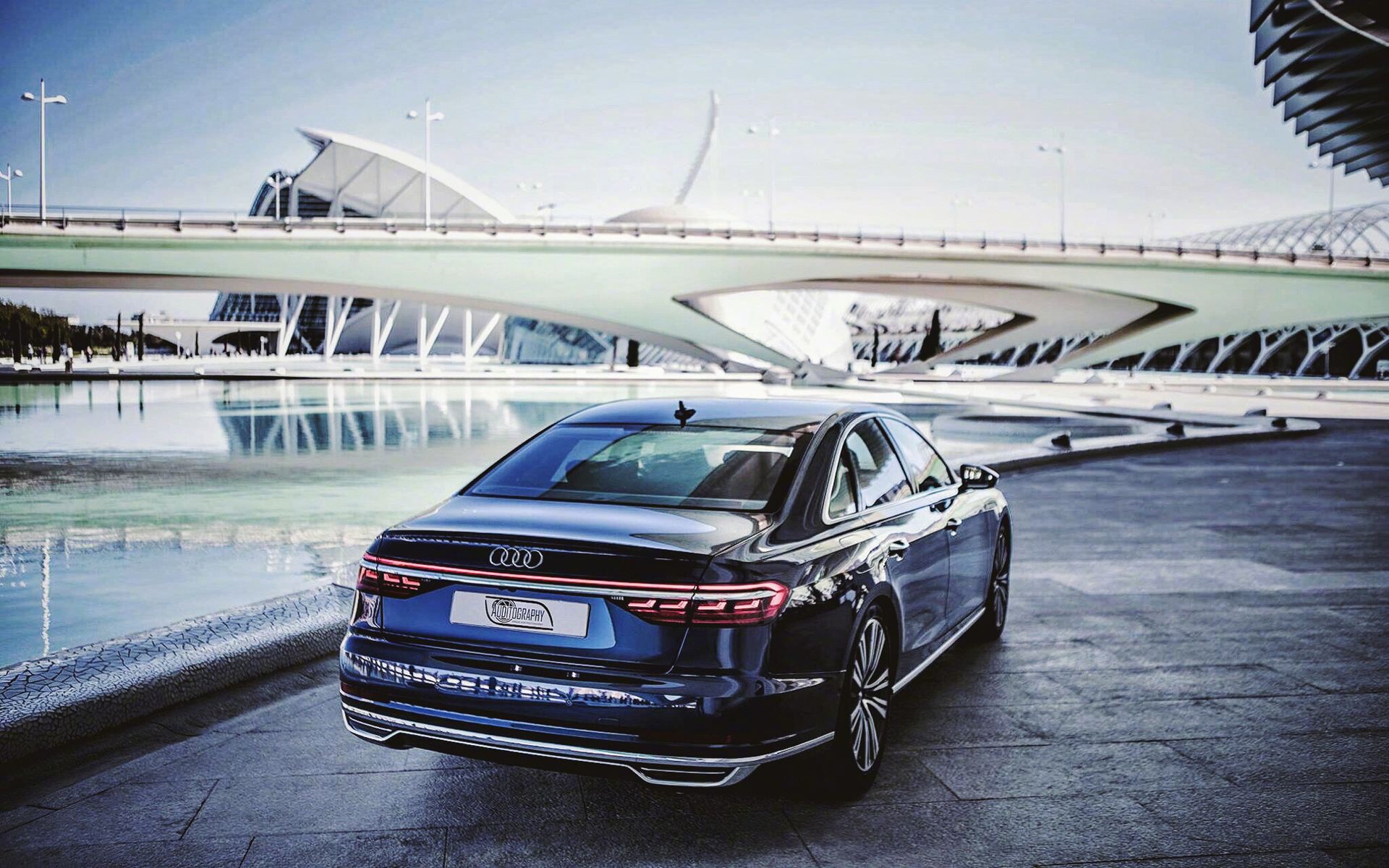 猫咪生病了要花很多钱应该治么,养了一只病猫