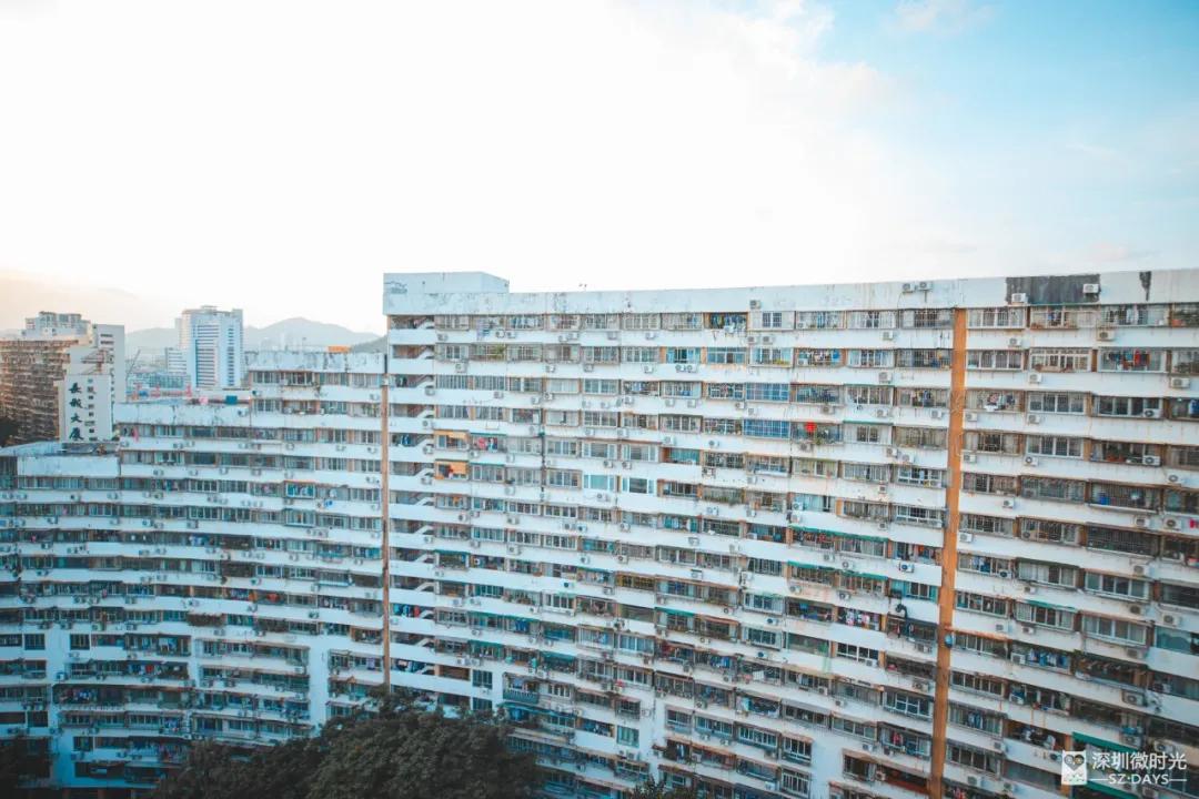 深圳合租式爱情：为了省房租，我没敢说分手