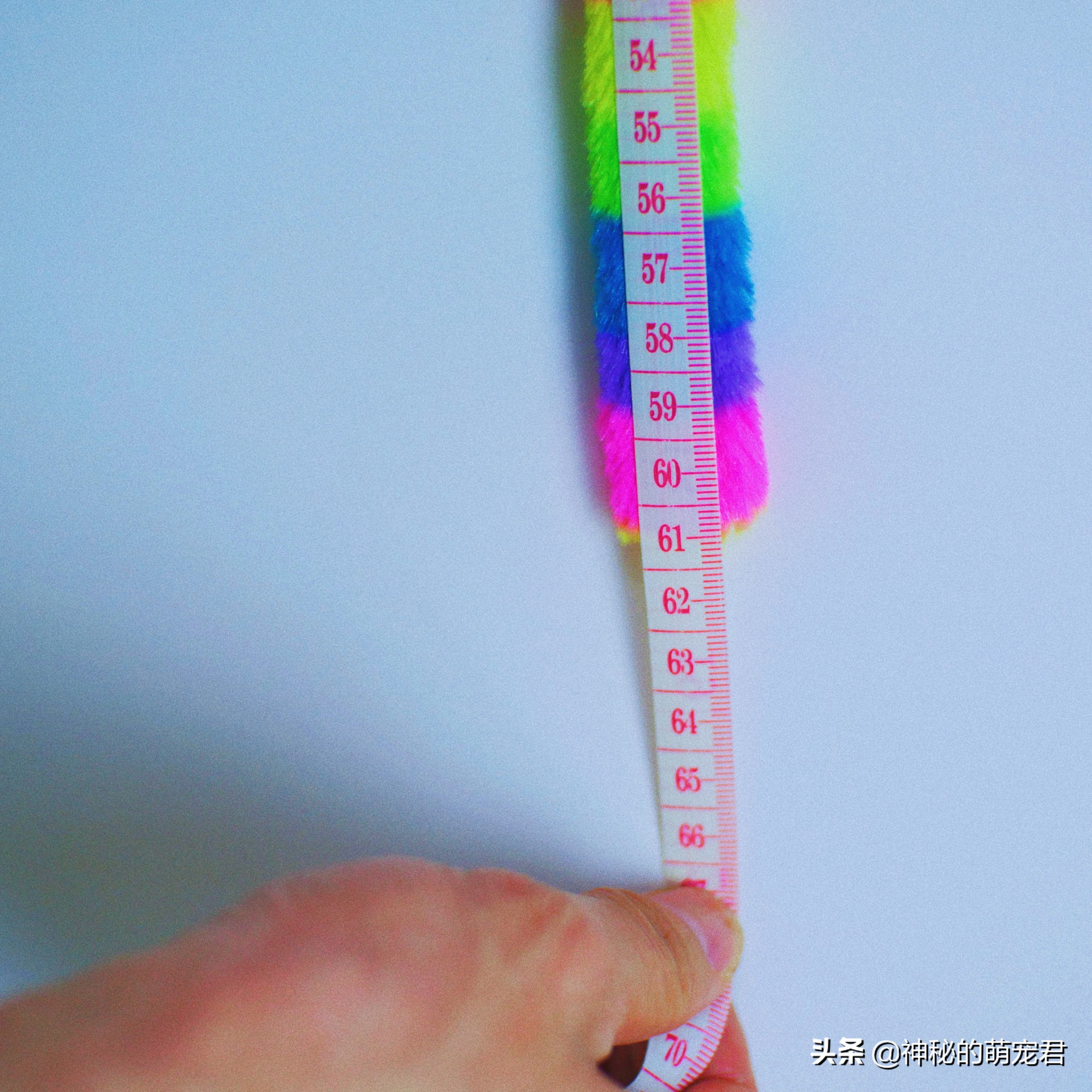 什么逗猫棒猫咪会玩,怎么做猫咪玩的逗猫棒