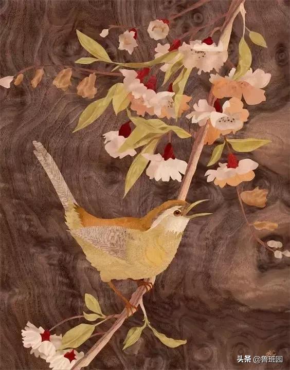 装饰材料木皮有哪些,装饰木皮有哪几种