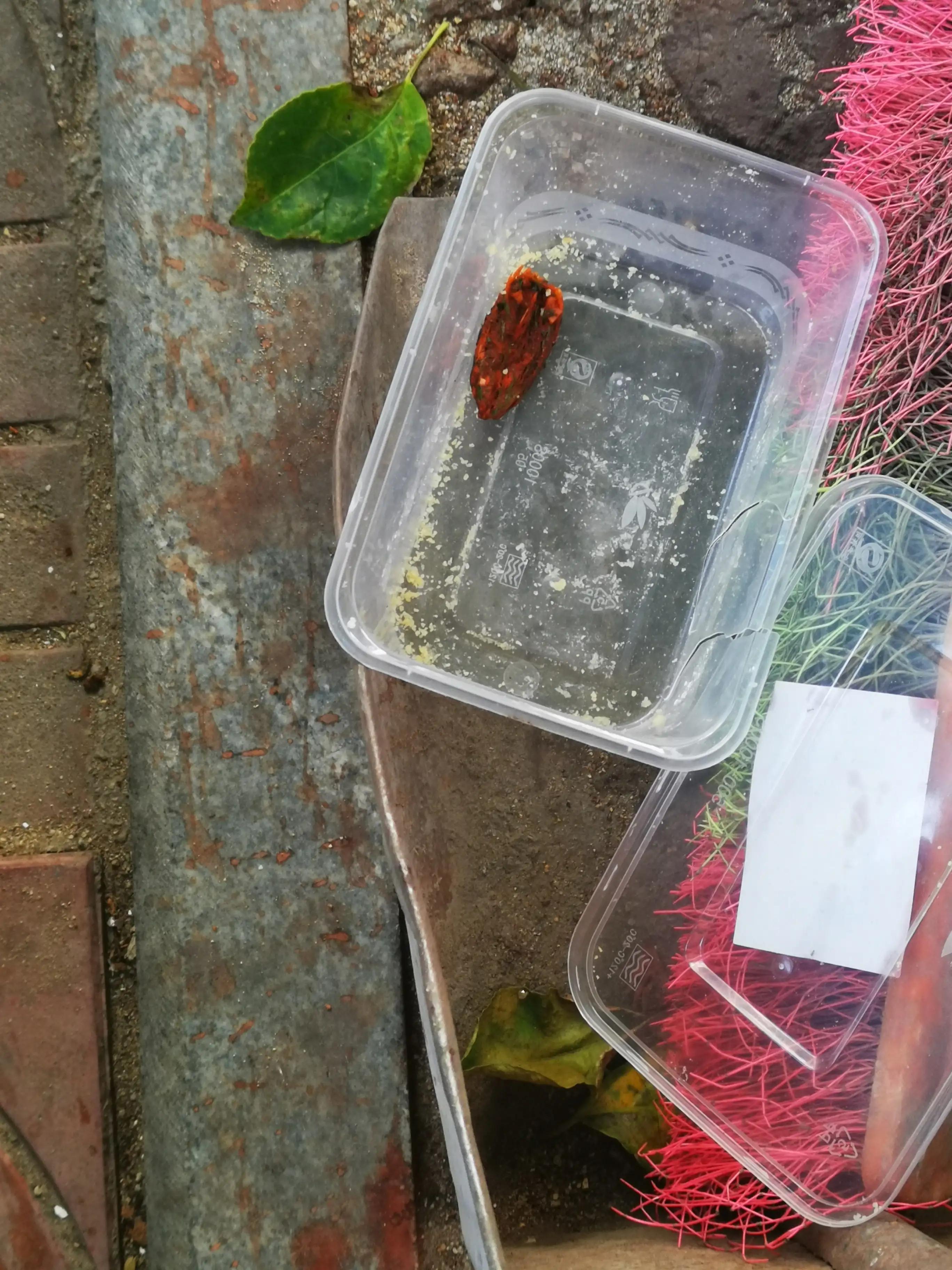 吃槟榔之后不能吃什么,吃槟榔之后的样子