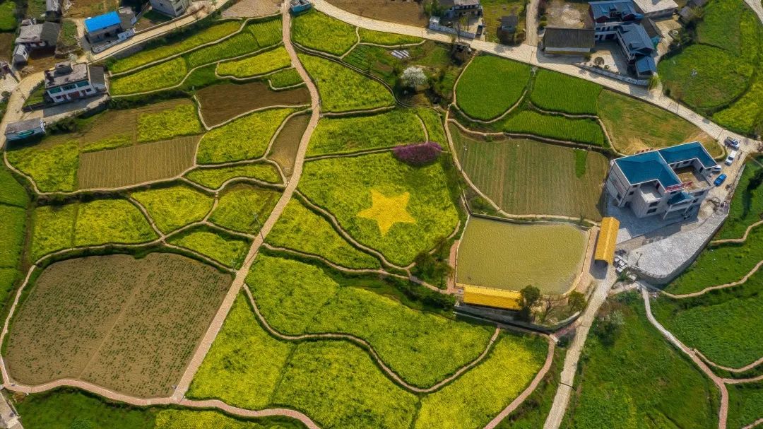 赏春图鉴丨赏花海、品清茶、尝美食...乌当百宜镇这条宝藏春游线路,就等你来打卡啦!