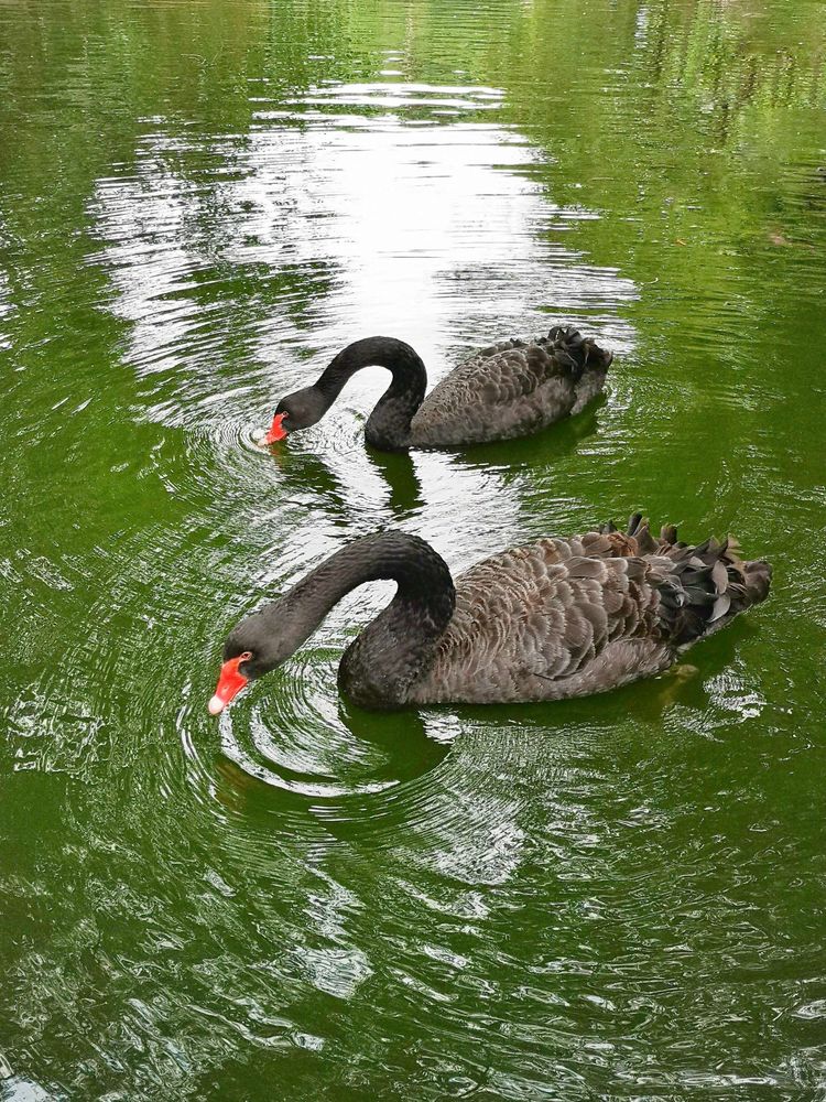 鎽勫奖鏂版墜璐拱鐩告満娉ㄦ剰浜嬮」,鎷嶅绾辨憚褰辫娉ㄦ剰浜嬮」