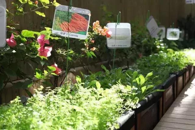 深圳托班多少钱一个月宝安,深圳托班免费