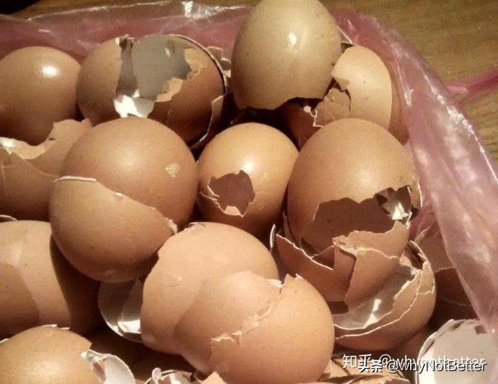 榨汁机小型自动清洗,原汁榨汁机好用易清洗推荐