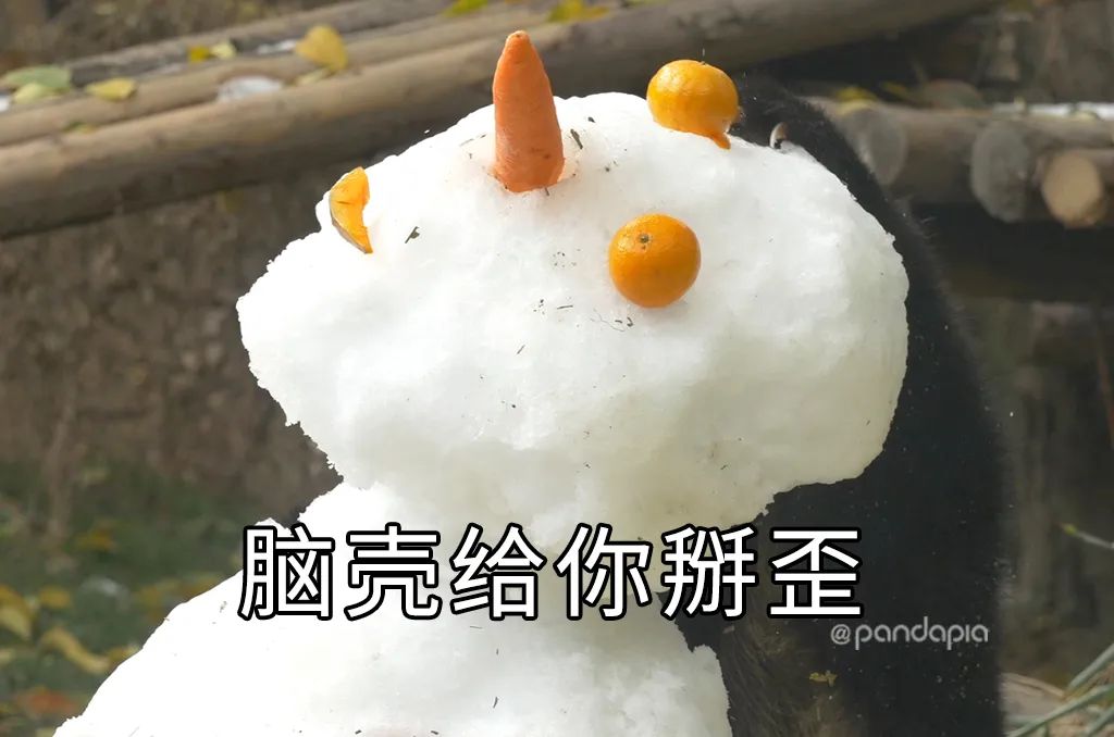 只要肯努力丑小鸭也能变成白天鹅,只要肯努力可以逆袭吗