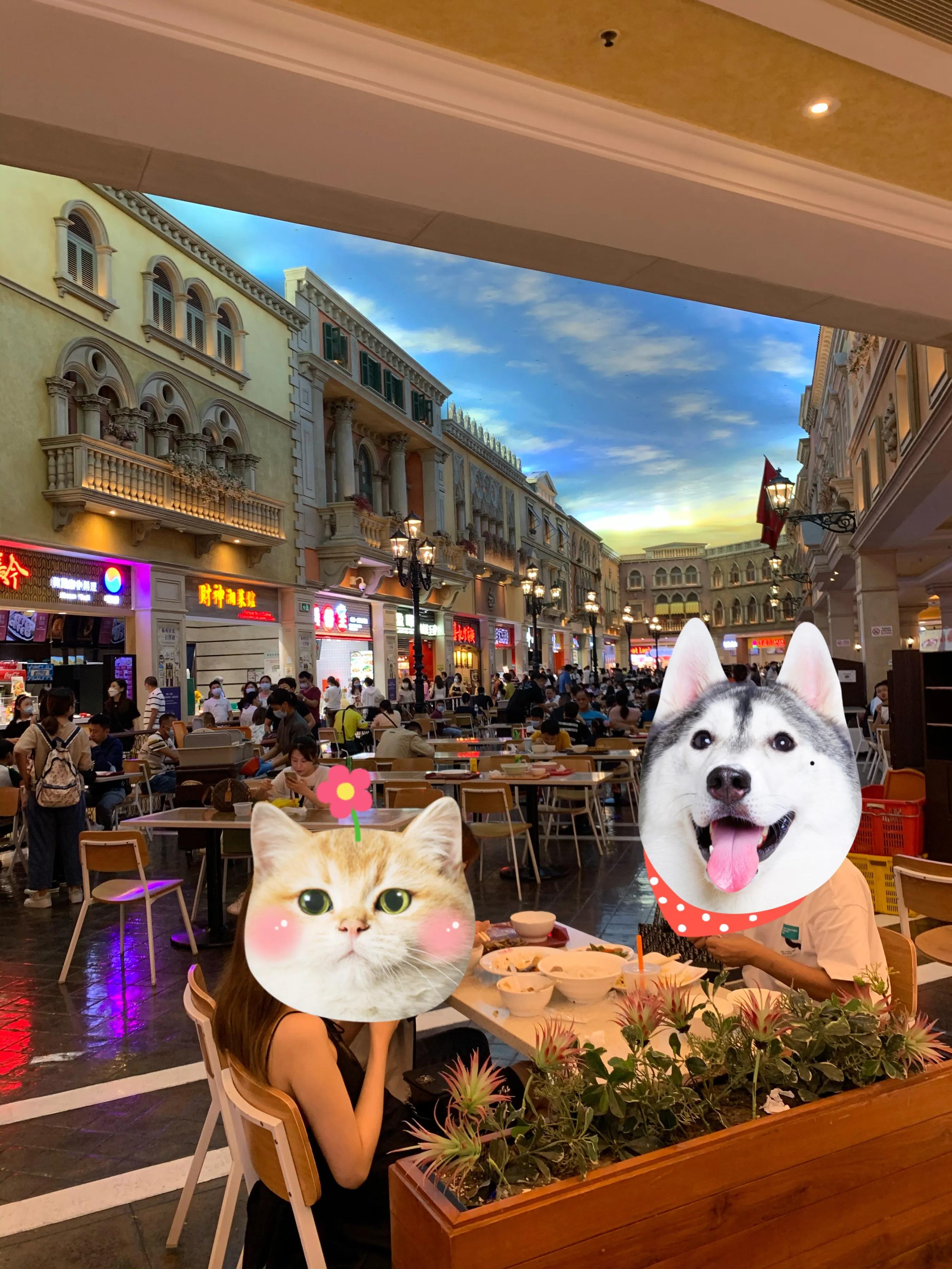 澳门hpv疫苗九价费用,澳门银葵医院hpv九价价格