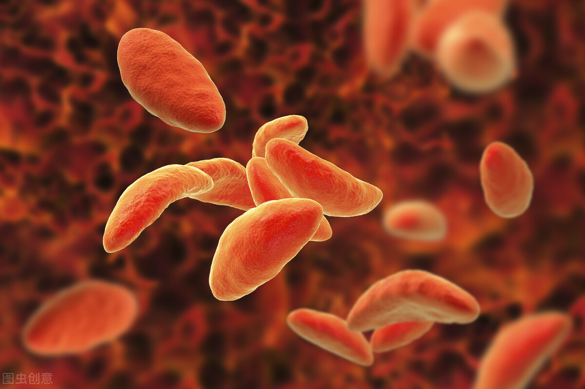 黑山羊血虫病的症状和治疗方法,黑山羊霉菌病怎么治