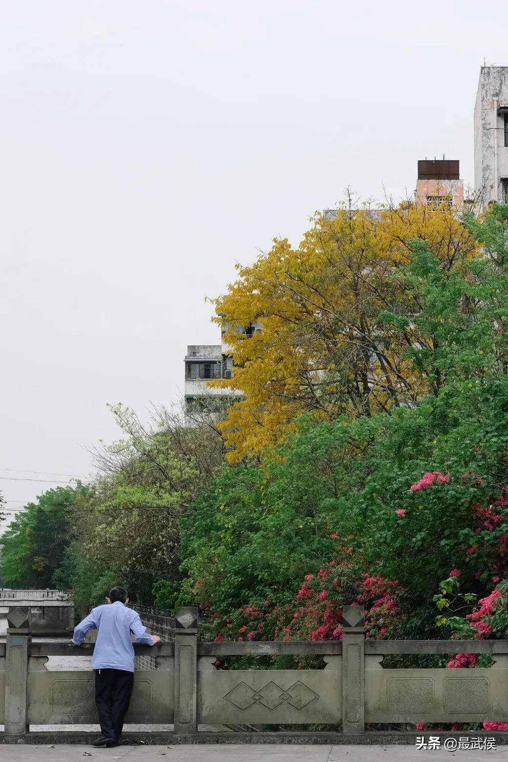 少陵路属于什么街道,三年前少陵路