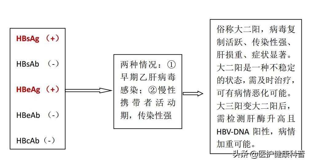 我有乙肝,想谈恋爱、结婚、生小孩……不可以吗?