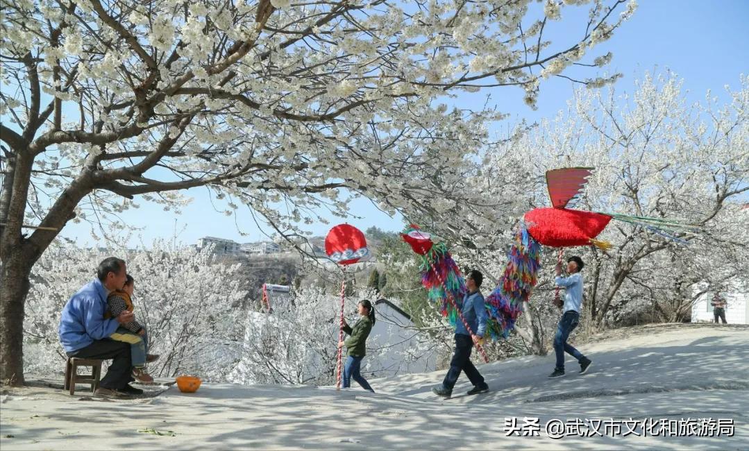 凤凰古城自驾十堰攻略,十堰晚上最美的路线
