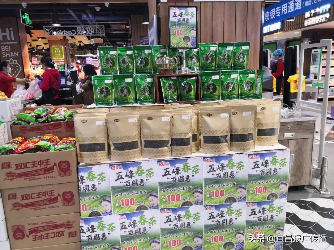 助茶农渡难关，宜昌春茶“百圆惠”上市