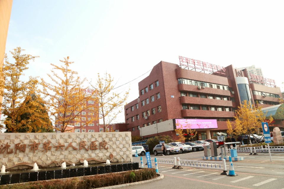 沈阳六院血栓专家,沈阳六院治疗深度静脉血栓