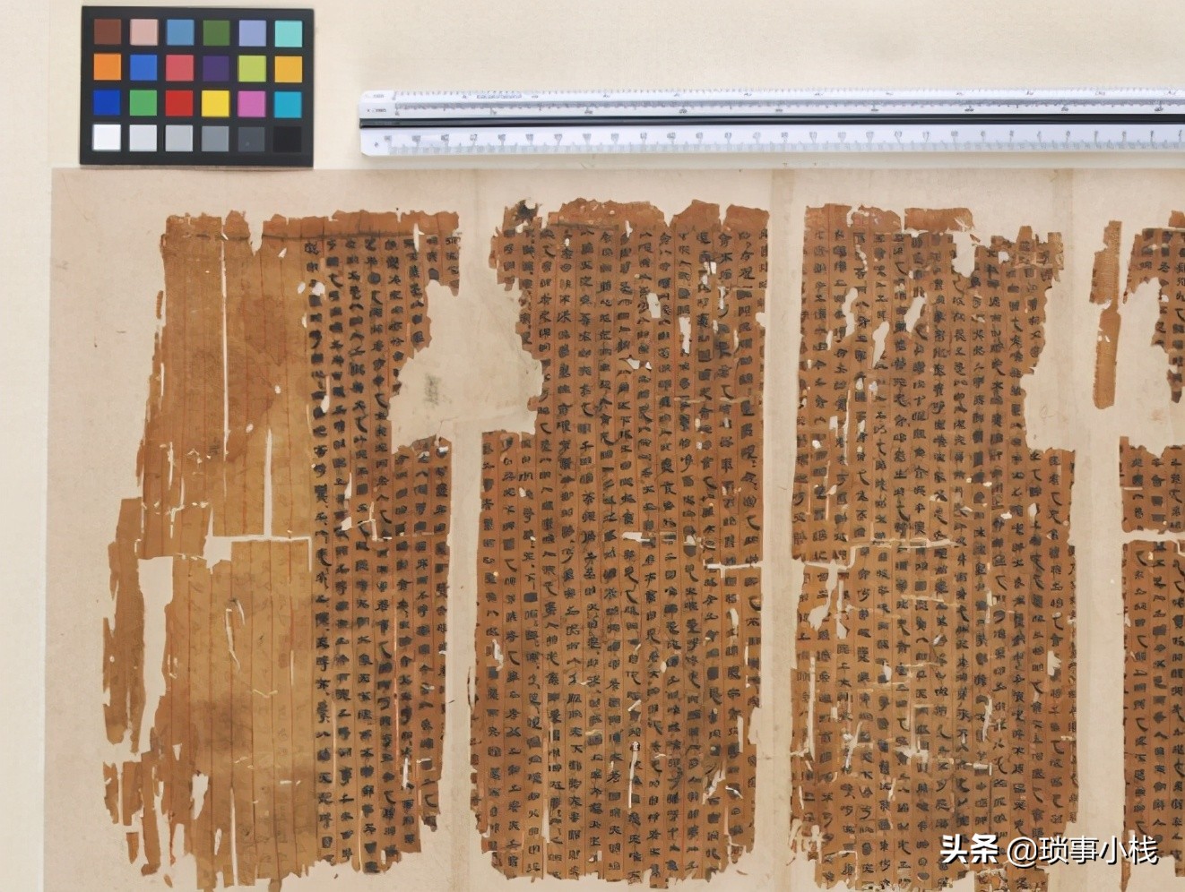 杨立华讲道德经完整视频,杨立华讲道德经