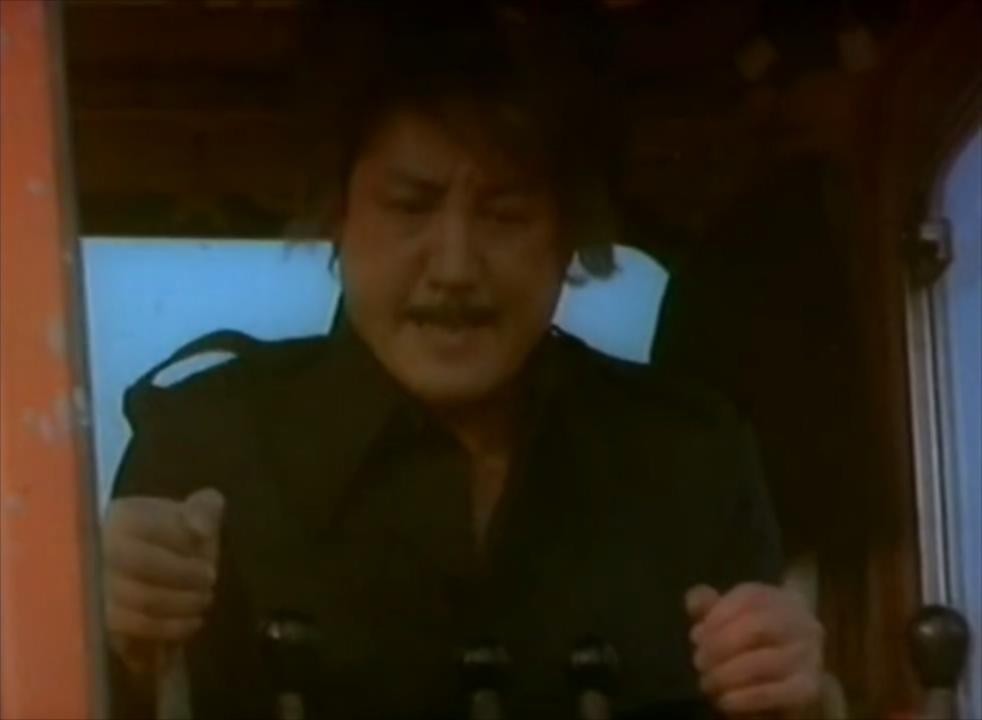 真蛇大战真实视频,拍人蛇大战用的是真蛇吗