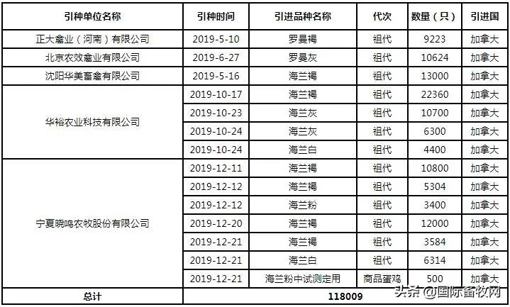 中国养殖5亿只鸡,中国蛋鸡百万以上的养殖基地