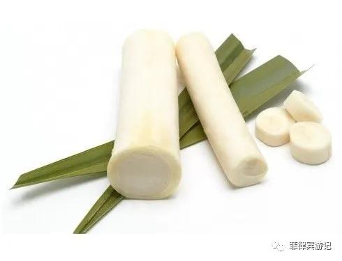 菲律宾青菜价格表,菲律宾蔬菜为什么那么贵