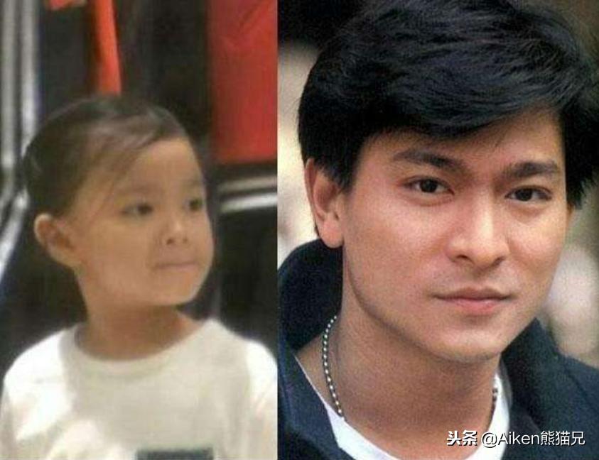 刘德华能红几十年他是怎么做到的,为啥刘德华这么受欢迎