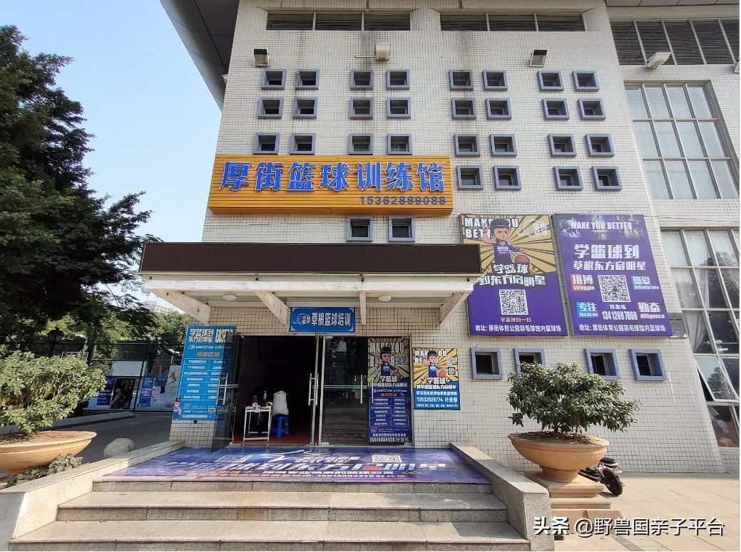 少儿篮球运动哪家好,权威少儿篮球兴趣班机构排名