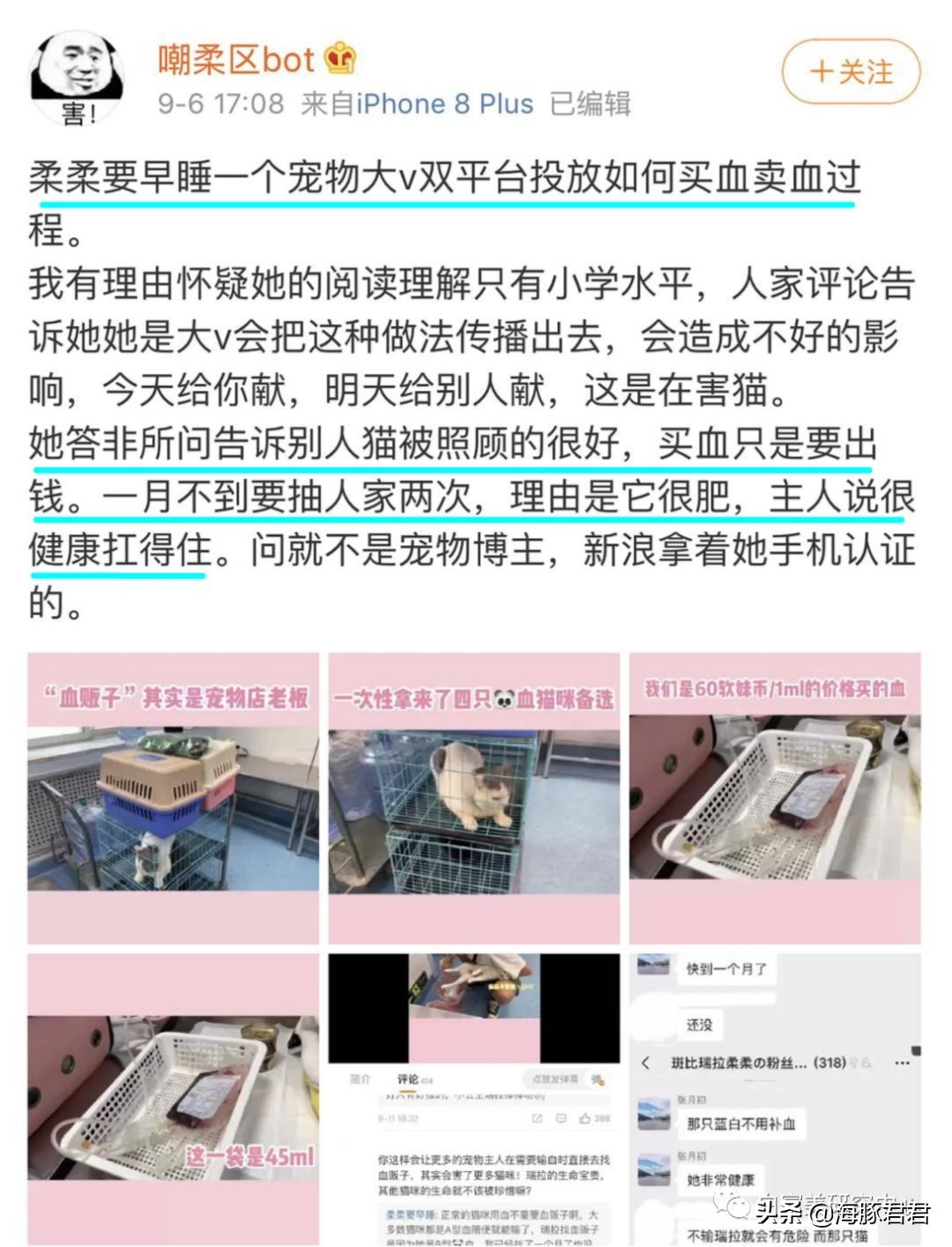 北京小公主靠吸猫血成百万大V，直播整容、大照骗、2年养死3只猫