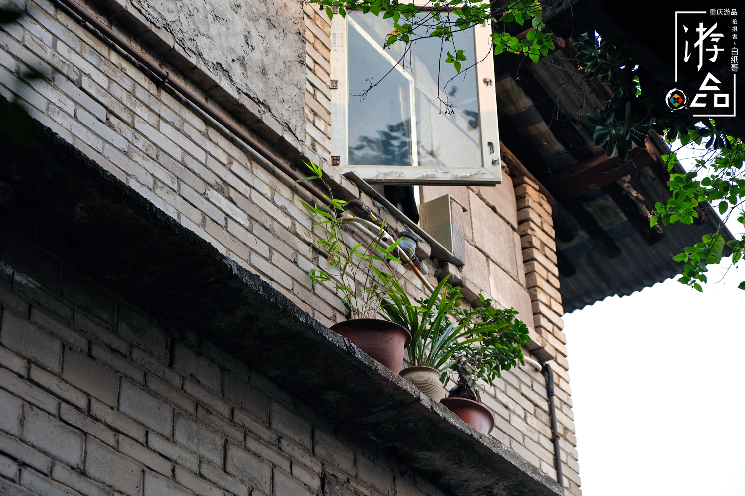 谁都逃不掉命运,谁都逃不掉的命运