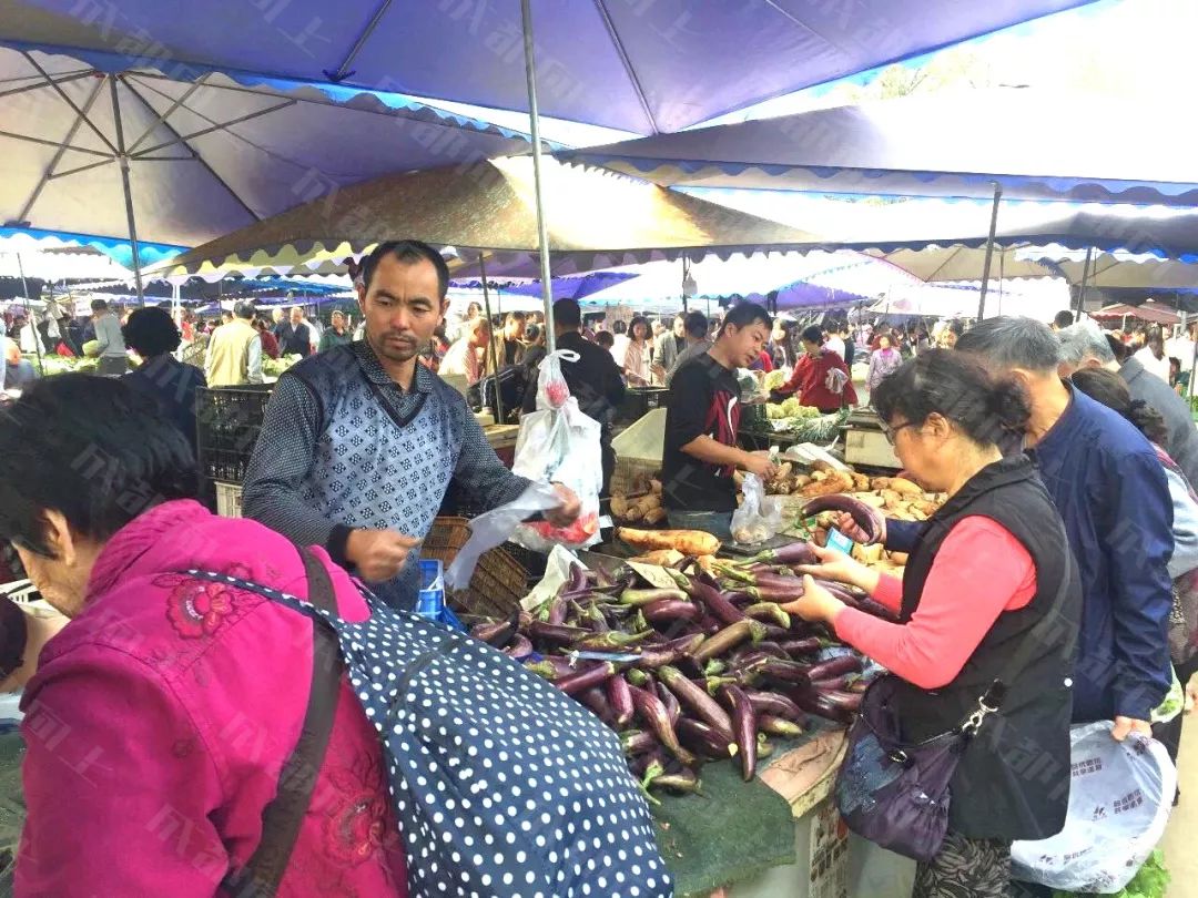 双十一优惠力度空前,双十一物价和平时的差别