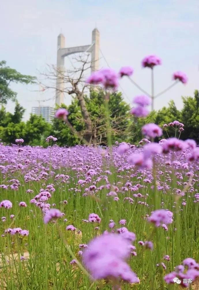 福州一日游不要钱最佳景点,福州周边短途一日游攻略的文章